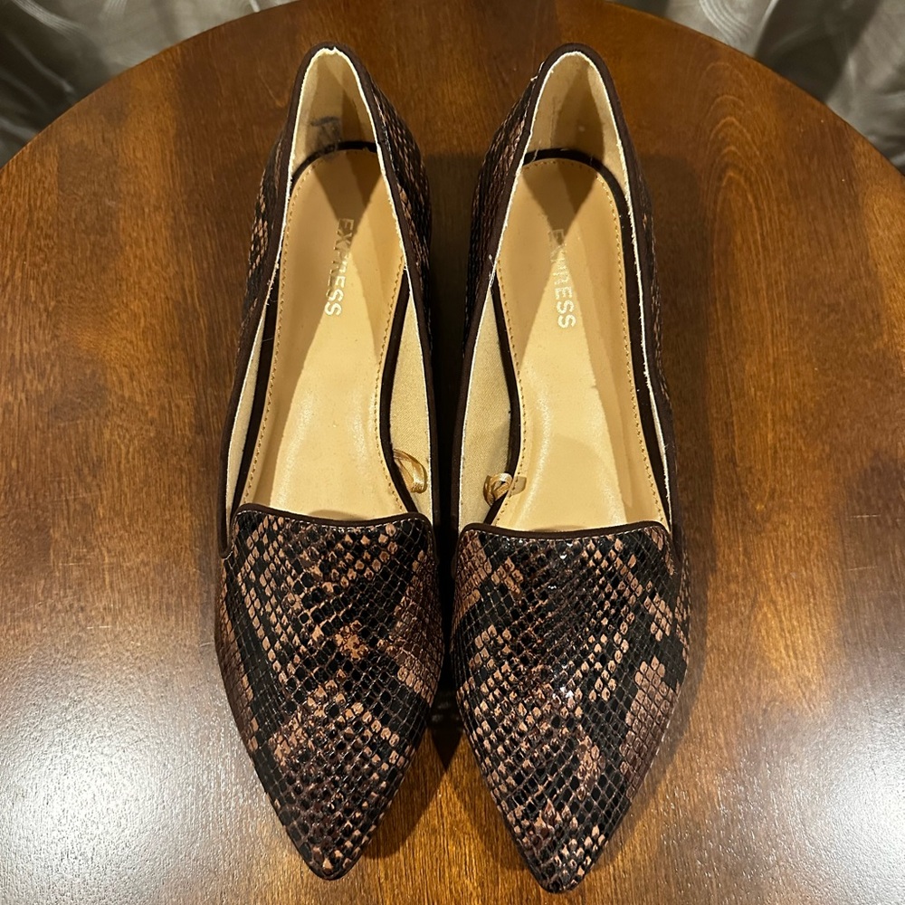 Express Pointed Toe Women’s Flats